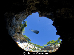 tremiti islands- grotta delle viole by Marco Caraceni 